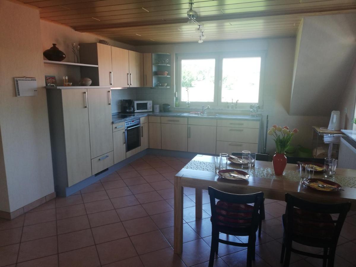 Anna - neue Ferienwohnung mit Blick ins Grüne Ober-Abtsteinach Exterior foto