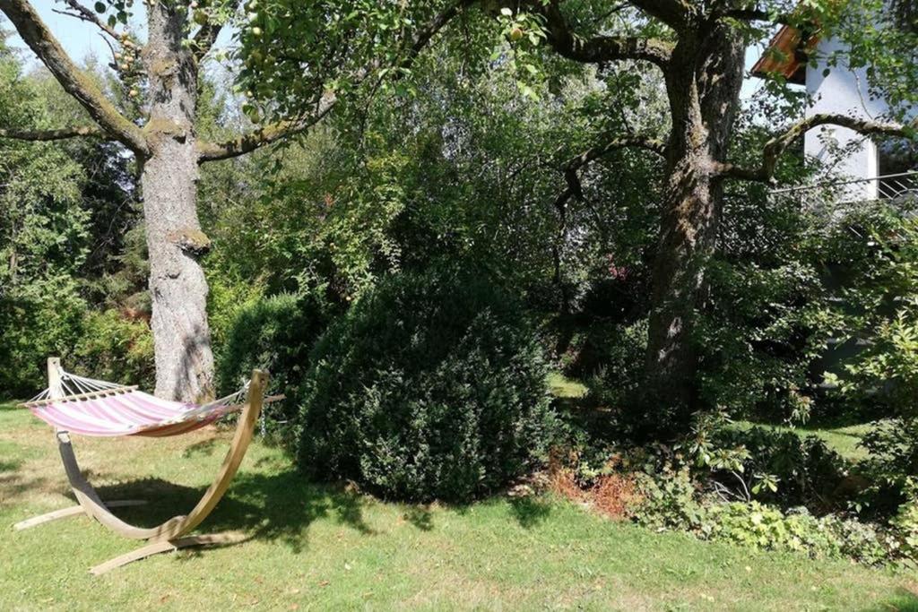 Anna - neue Ferienwohnung mit Blick ins Grüne Ober-Abtsteinach Exterior foto