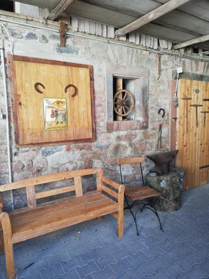 Anna - neue Ferienwohnung mit Blick ins Grüne Ober-Abtsteinach Exterior foto